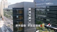 核心｜跨境电商“加快跑” 点燃外贸成长“新引